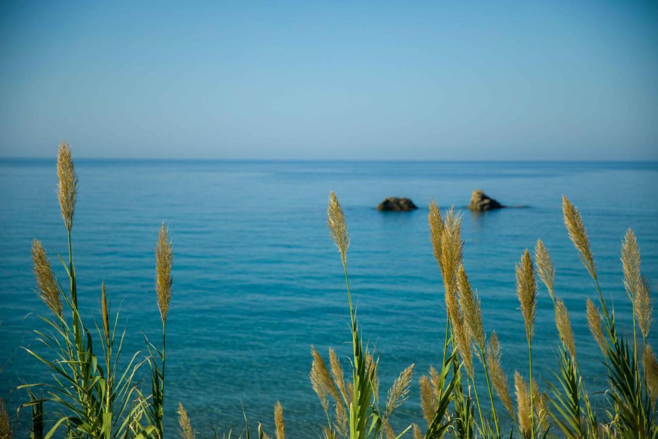 Almyra Villas Χαλικούνας Εξωτερικό φωτογραφία